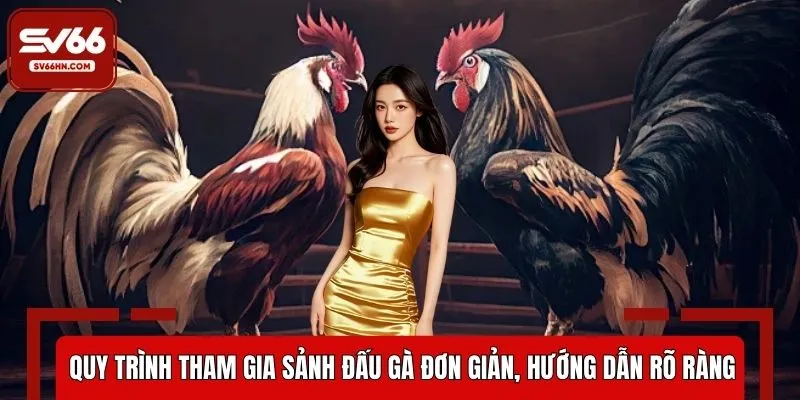 Quy trình tham gia sảnh đấu gà đơn giản, hướng dẫn rõ ràng