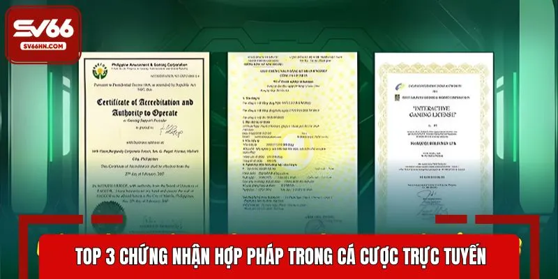 Top 3 giấy phép hàng đầu về bảo mật an toàn trực tuyến