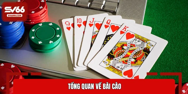Tổng quan về bài cào